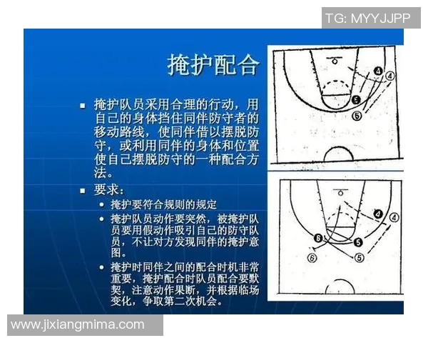 南京篮球队实力对比深度剖析各队员表现与战术优势解析